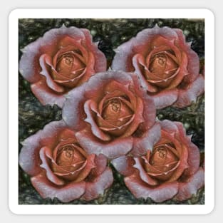 Peach rose art Sticker